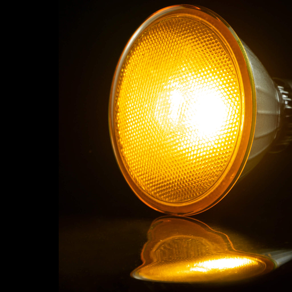 SEGULA LED Reflektor PAR 38 gelb – E27, 18 W – Bild 3