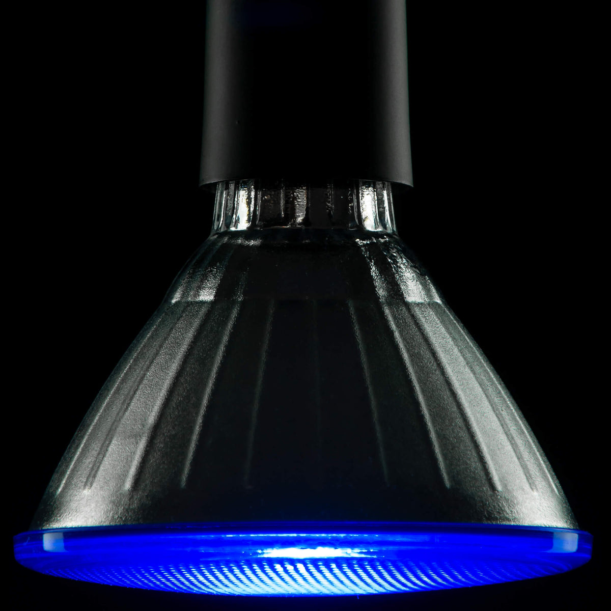 SEGULA LED Reflektor PAR 38 – E27, 18 W – Bild 3