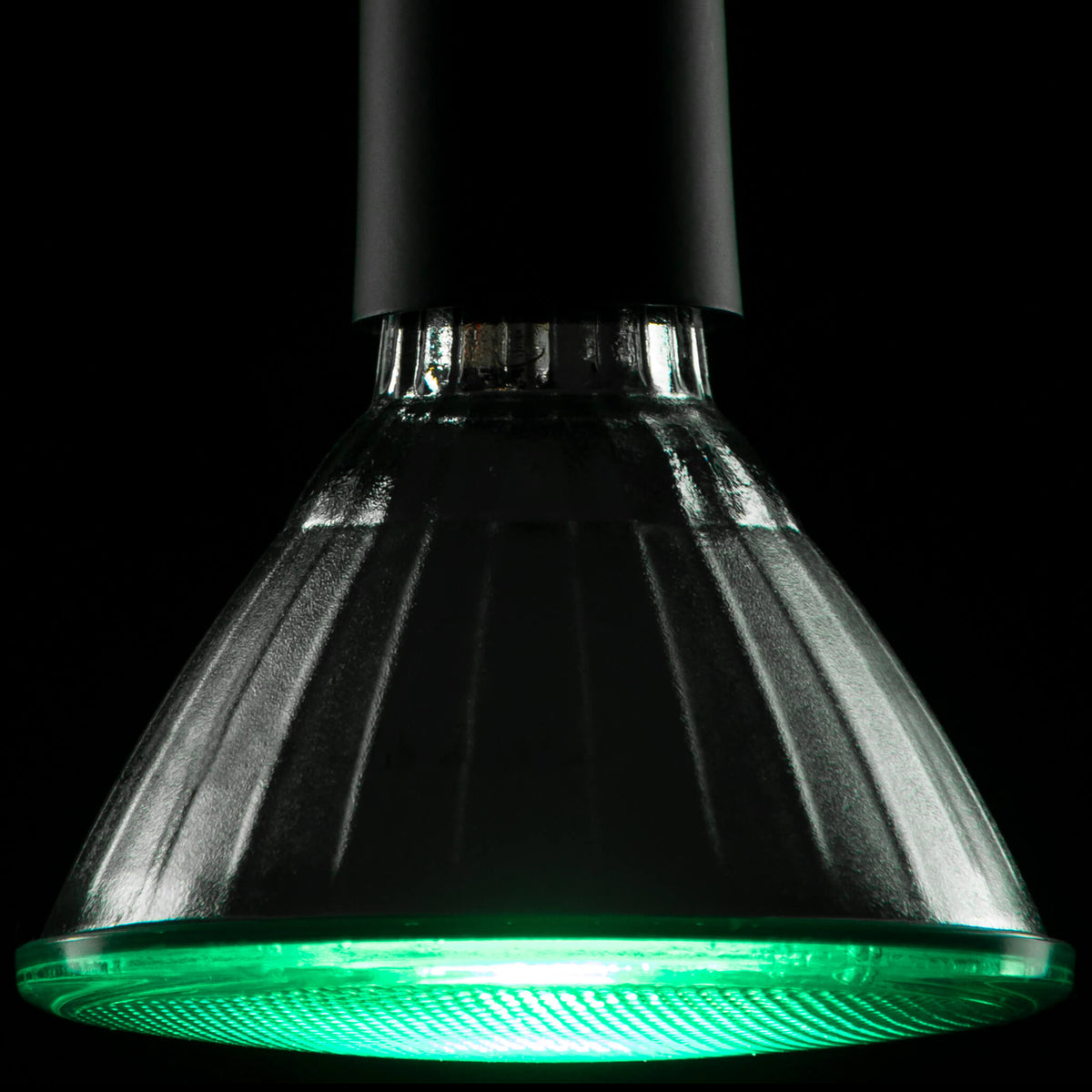 SEGULA LED Reflektor PAR 38 grün – E27, 18 W – Bild 2