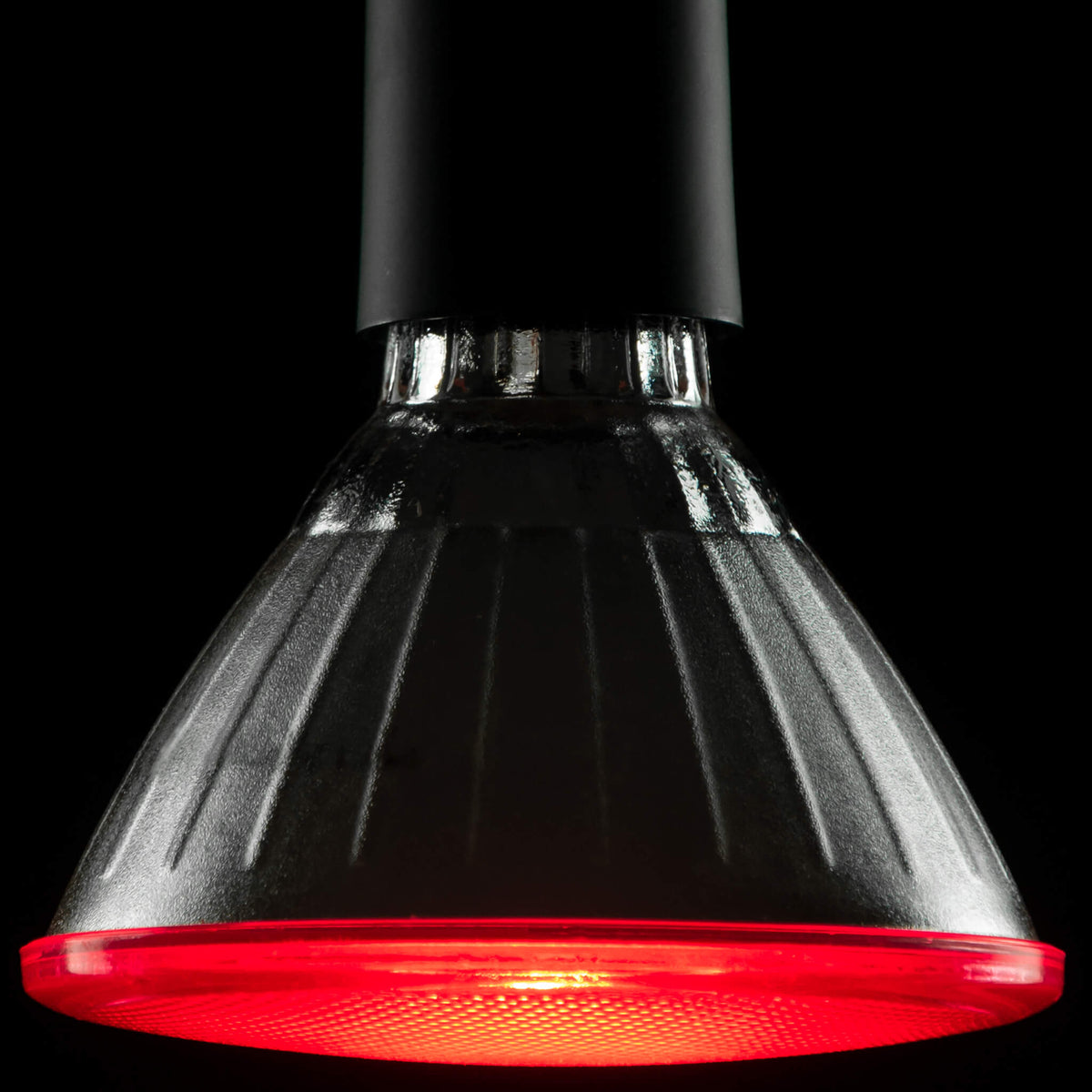 SEGULA LED Reflektor PAR 38 – E27, 18 W – Bild 6