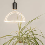 SEGULA LED Floating Bowl Ambient Dimming klar – E27, 6,2 W, 2.000 K–2.700 K, dimmbar – Bild 5