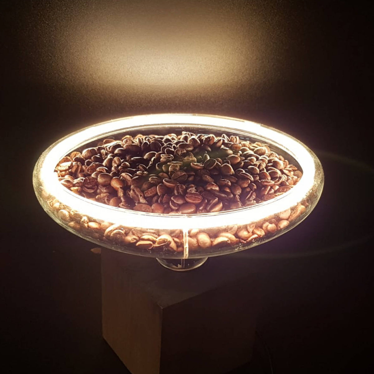 SEGULA LED Floating Reflektor R200 smokey grau – E27, 6 W, 1.900 K, dimmbar – Bild 5