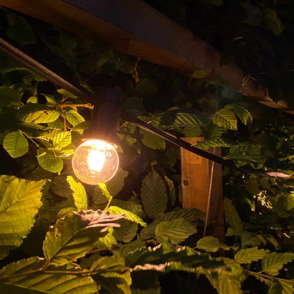 SEGULA LED Golfball Kunststoff stoßfest klar – E27, 1,5 W, 2.200 K, dimmbar – Bild 5