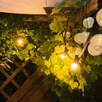 SEGULA LED Golfball Kunststoff stoßfest klar – E27, 1,5 W, 2.200 K, dimmbar – Bild 6