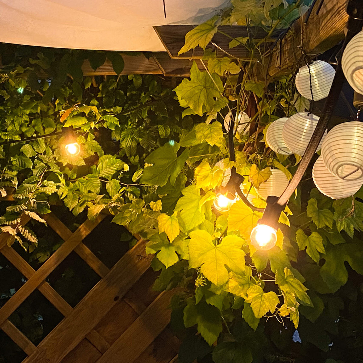 SEGULA LED Golfball Kunststoff stoßfest klar – E27, 1,5 W, 2.200 K, dimmbar – Bild 6