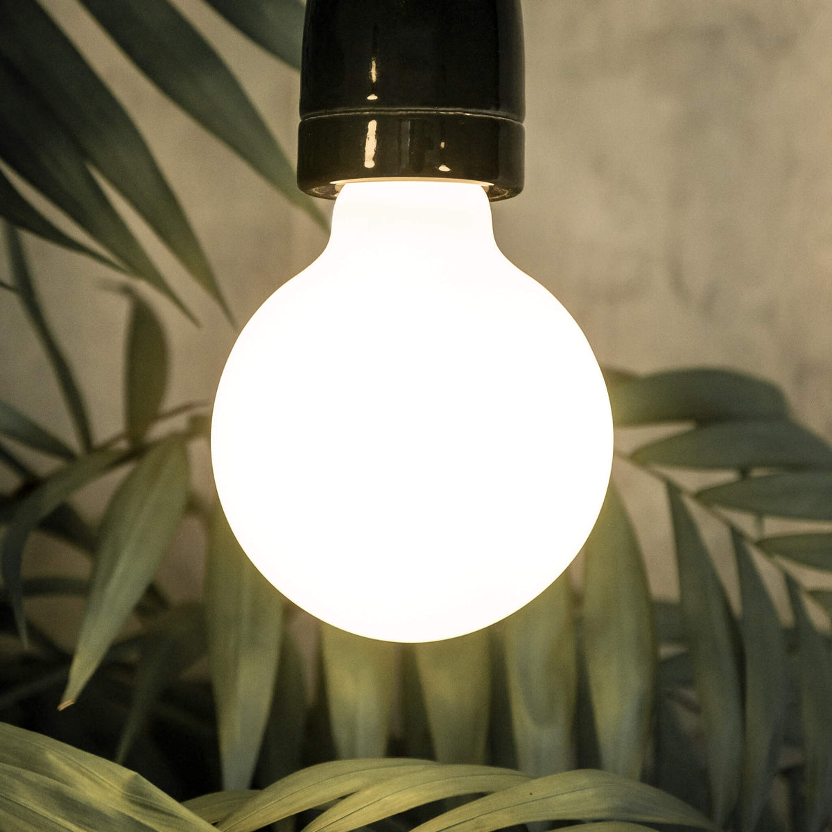 SEGULA LED Globe 80 opal – E27, 3,2 W, 2.700 K, dimmbar – Bild 4