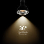 SEGULA LED PAR30 Reflektor Ambient Dimming – E27, 13 W, 2.000 K–3.000 K, dimmbar – Bild 4