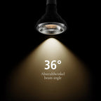 SEGULA LED PAR38 Reflektor Ambient Dimming – E27, 16 W, 2.000 K–3.000 K, dimmbar – Bild 4
