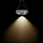 SEGULA LED PAR38 Reflektor Ambient Dimming – E27, 16 W, 2.000 K–3.000 K, dimmbar – Bild 3