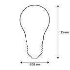 SEGULA LED Mini Glühlampe 24V klar – E14, 1,5 W, 2.200 K, dimmbar – Bild 3