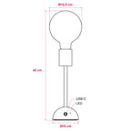 Tragbare, wiederaufladbare Lampe Cabless02 mit G125-Globe – Neutral – Ansicht 6